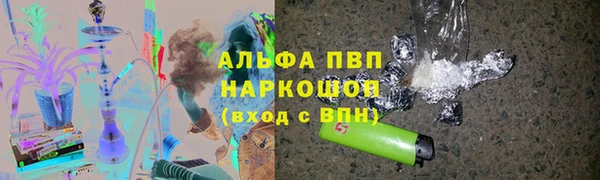 гашик Ростов